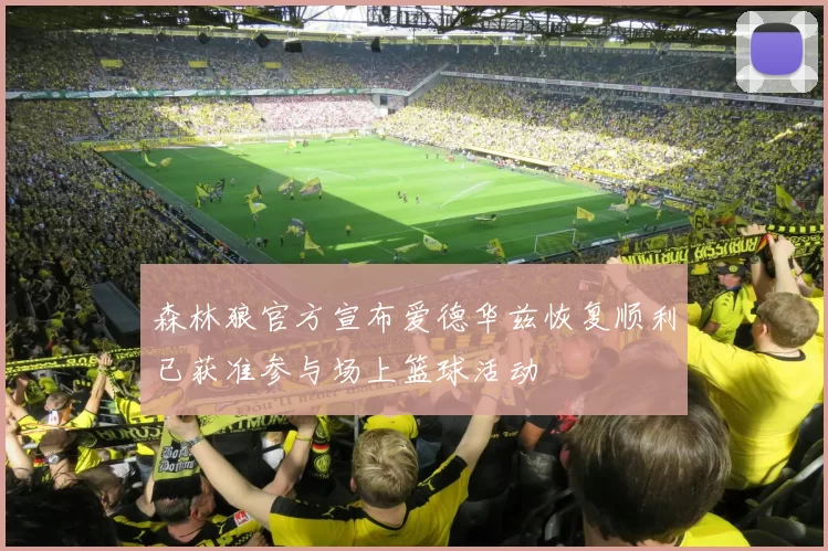 森林狼官方宣布爱德华兹恢复顺利已获准参与场上篮球活动